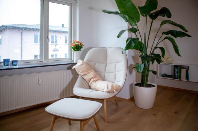 Graviditets- og ammepude fra B'Comphy (130 cm) cappuccino i en stol
